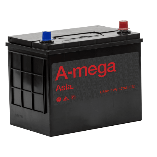 AKUMULATOR AMEGA ASIA 12V 65AH (P+)